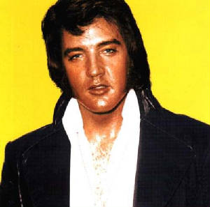 elvis100.jpg