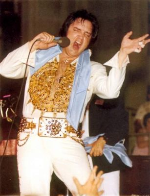 normal_elvis_77_57.jpg